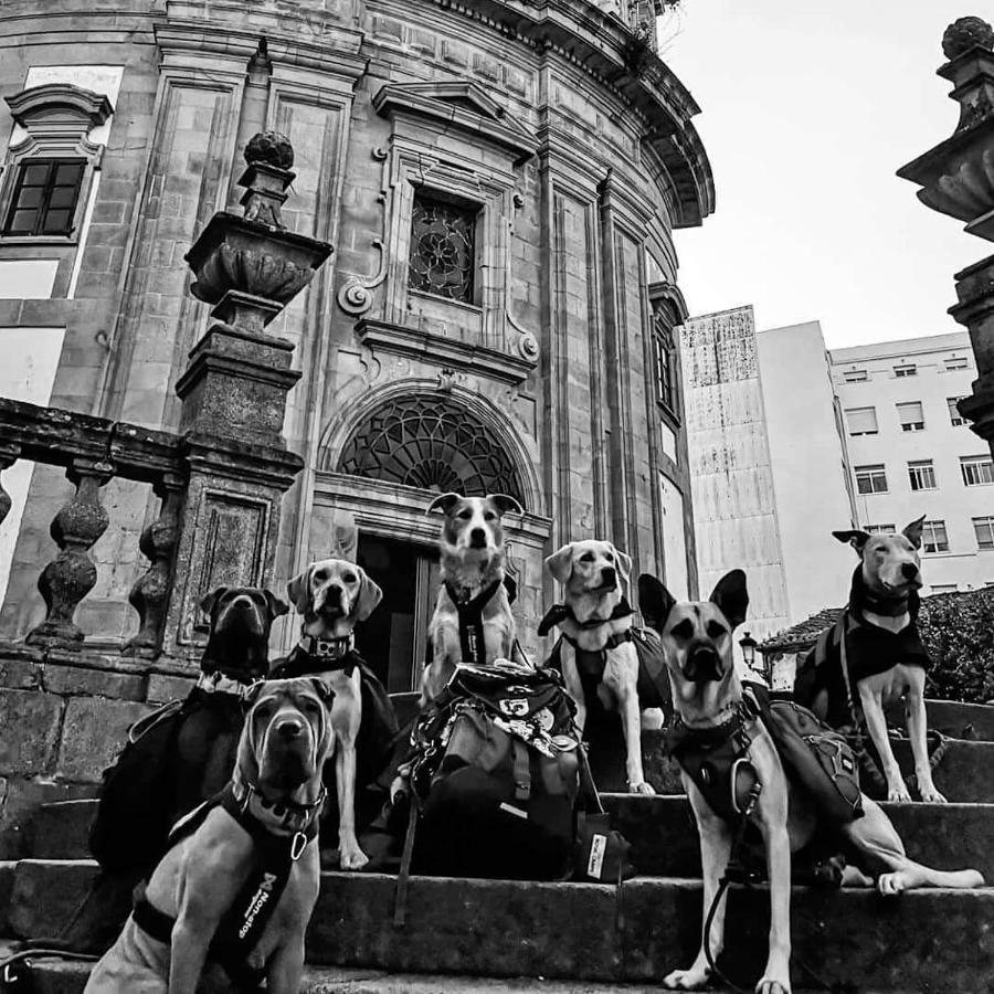 Pension Alecer Caldas De Reis Esterno foto